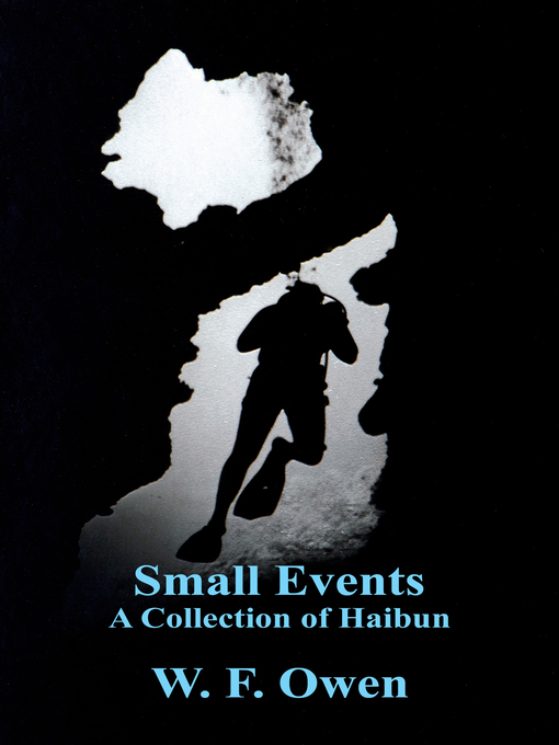 Title details for Small Events by W. F. Owen - Wait list